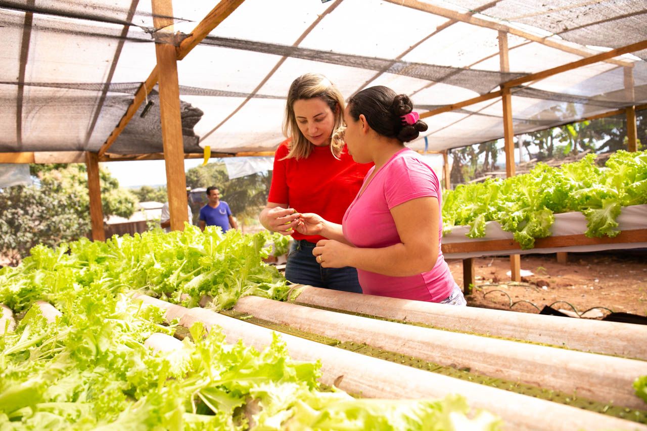 Agricultura em Rondônia