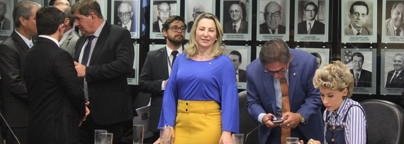 Deputada Federal Jaqueline Cassol luta pela redução da tarifa de energia