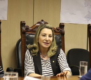 Deputada federal Jaqueline Cassol destaca prioridades para segundo semestre de 2019 - politica - jaqueline cassol